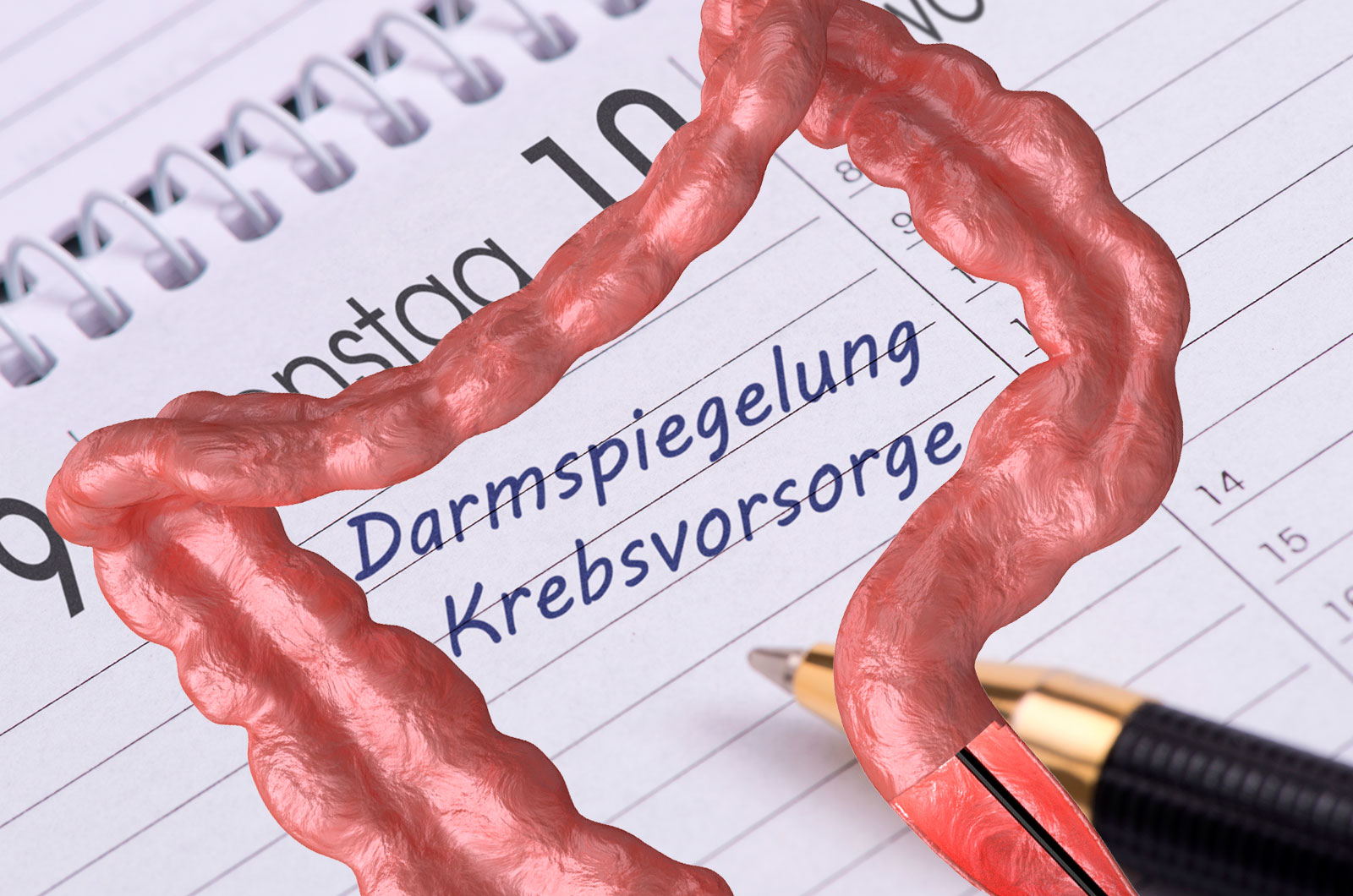 Termin zur Krebsvorsorge mit Darstellung des Dick- und Enddarms, endoskopische Untersuchung die bei der Entdeckung von Darmkrebs hilft