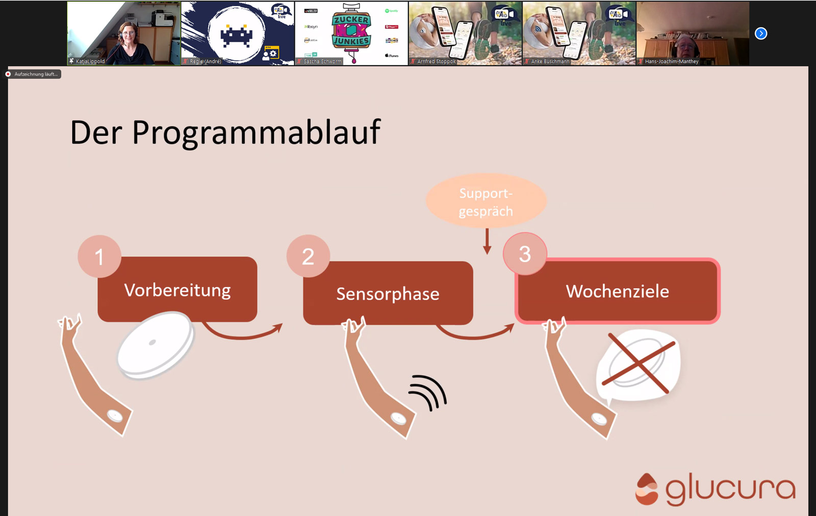 Programmablauf von glucura