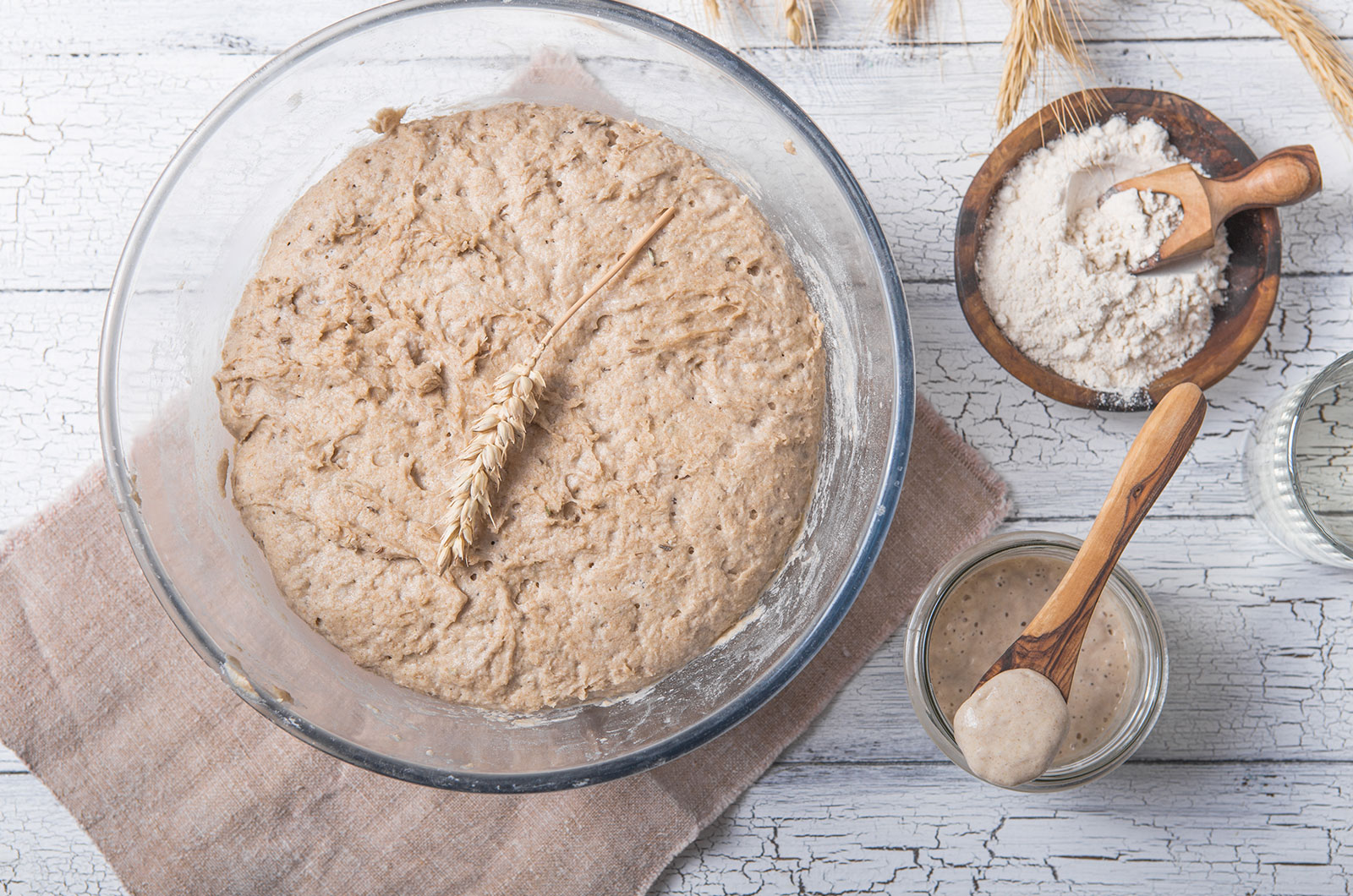 fermentierte Mischung aus Wasser und Mehl zur Verwendung als Sauerteig zum Brotbacken